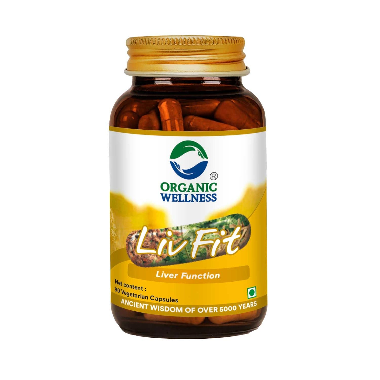 Organic Wellness Natural Liv Fit Supplement Liver Detox Ayurvedic Medicine for P