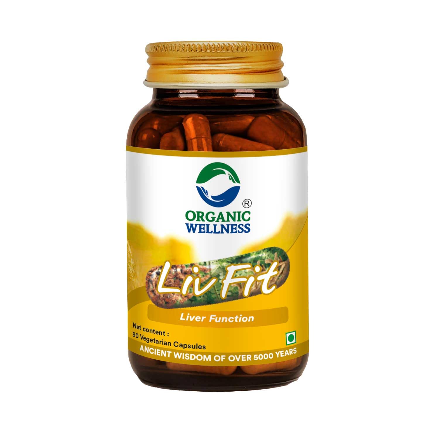 Organic Wellness Natural Liv Fit Supplement Liver Detox Ayurvedic Medicine for P