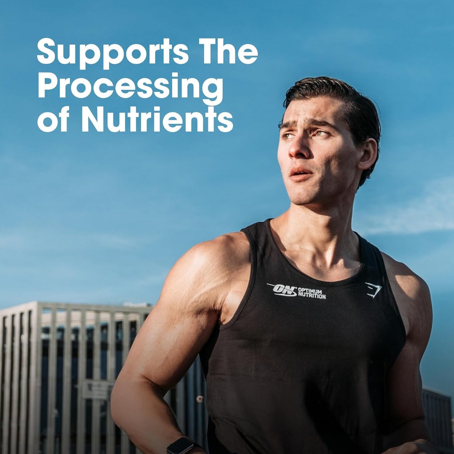 Optimum Nutrition (ON) Multivitamin for MEN– 60 Tablets, 26 Vitamins &- image 3