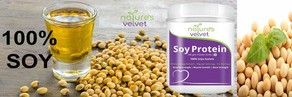 Natures Velvet Lifecare Soy Protein, Vegetarian and Natural, 300 gms -- image 2