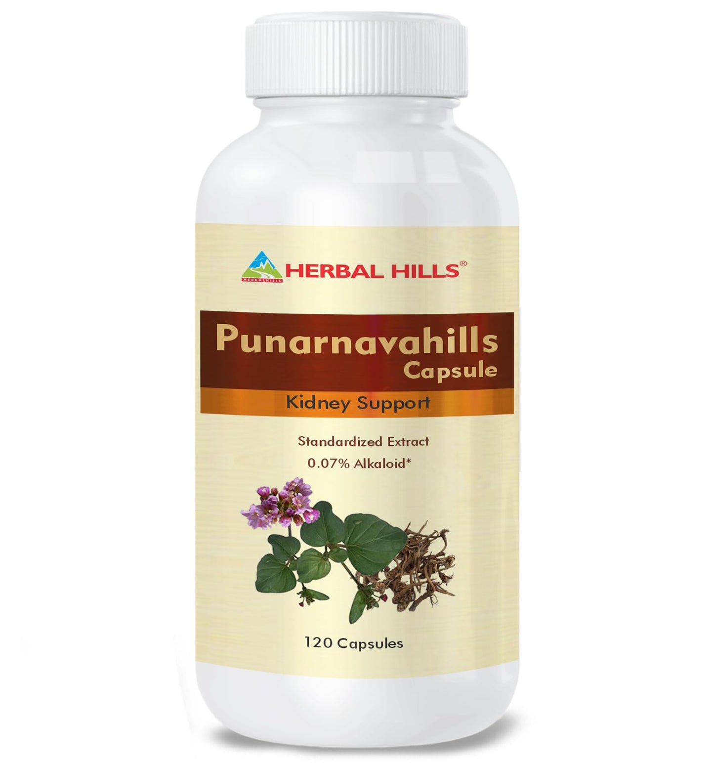 Herbal Hills Punarnava capsules (120 Capsules (Pack of 5))
