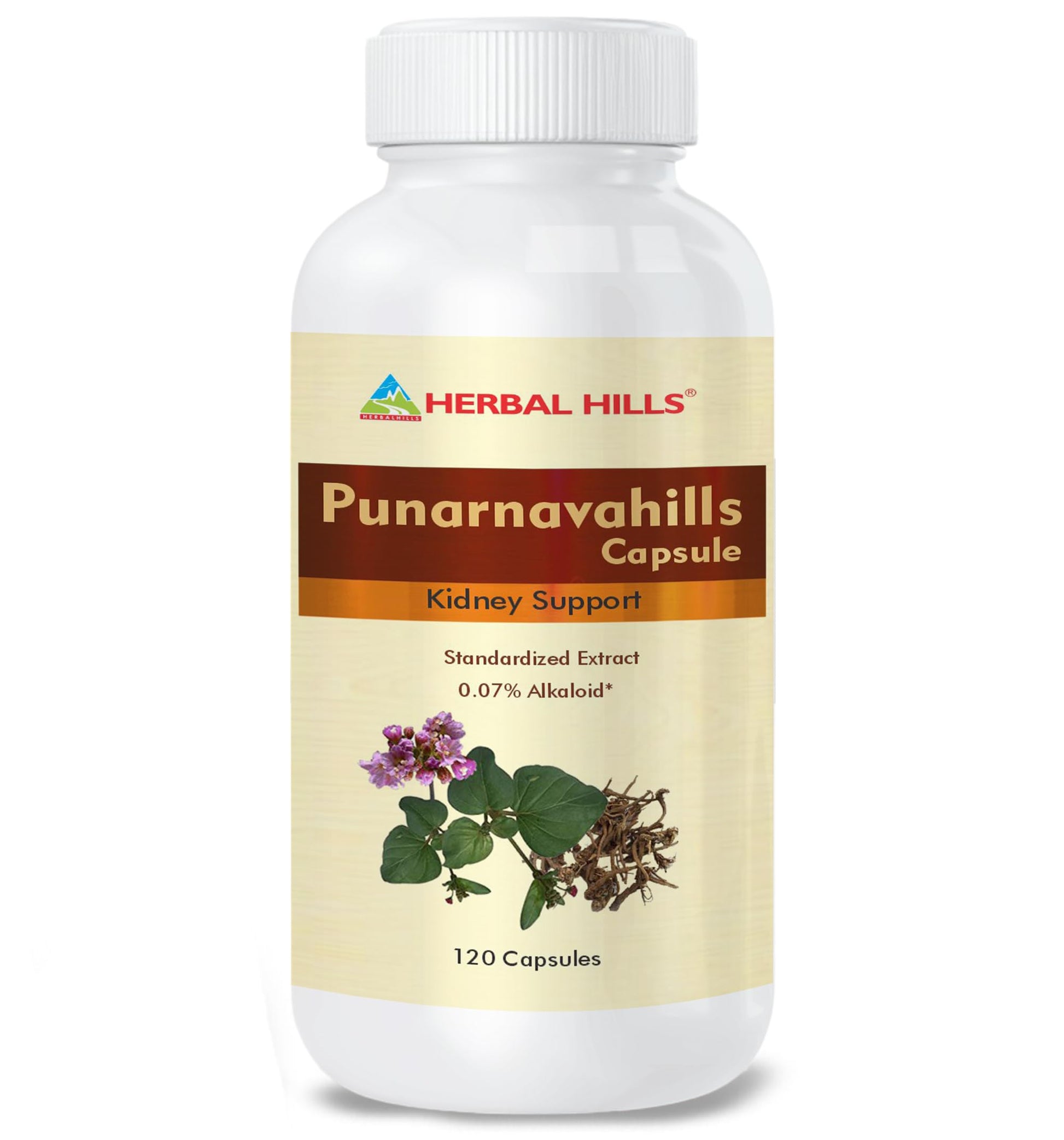Herbal Hills Punarnava capsules (120 Capsules (Pack of 5))