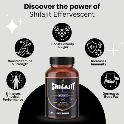 Kayashree Shilajit | 100% Pure Shilajit I 60 Capsules | Enhances Stamina, Energy, and Power | Supports Healthy Testosterone Levels