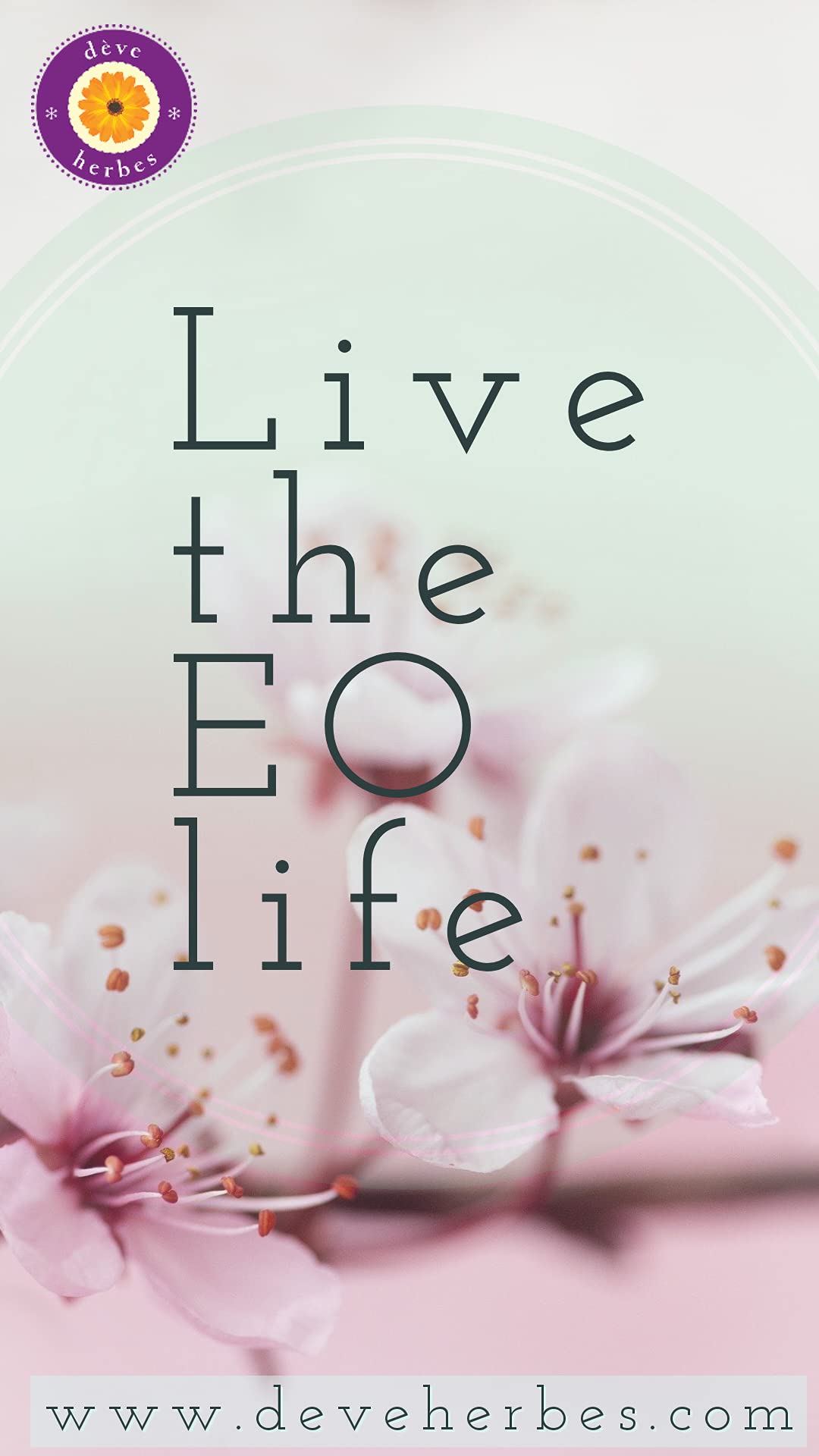 Deve Herbes Pure Ashwagandha Oil (Withania somnifera) Natural Therapeut- image 6