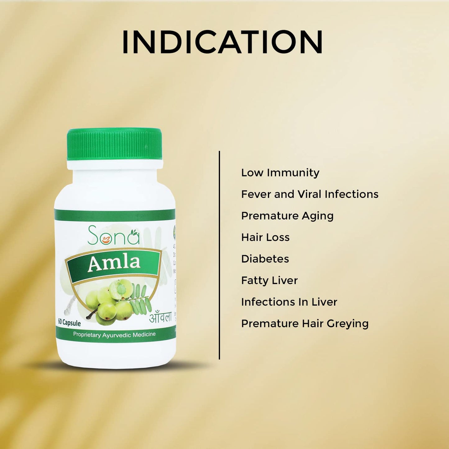 Sona Amla Powder Capsules supports Immunity Booster - 60 Capsules (Pack of 3)