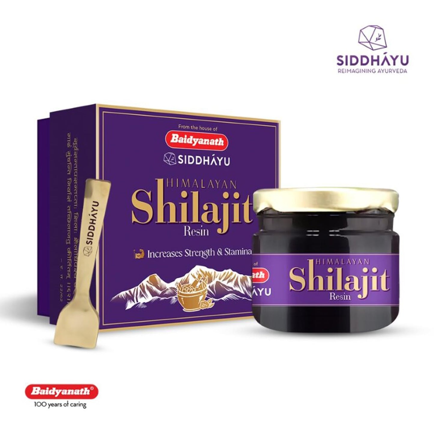Baidyanath Asli Ayurved Himalayan Shilajit/Shilajeet Resin 20gm - 100% Ayurvedic | Performance Booster For Endurance and Stamina