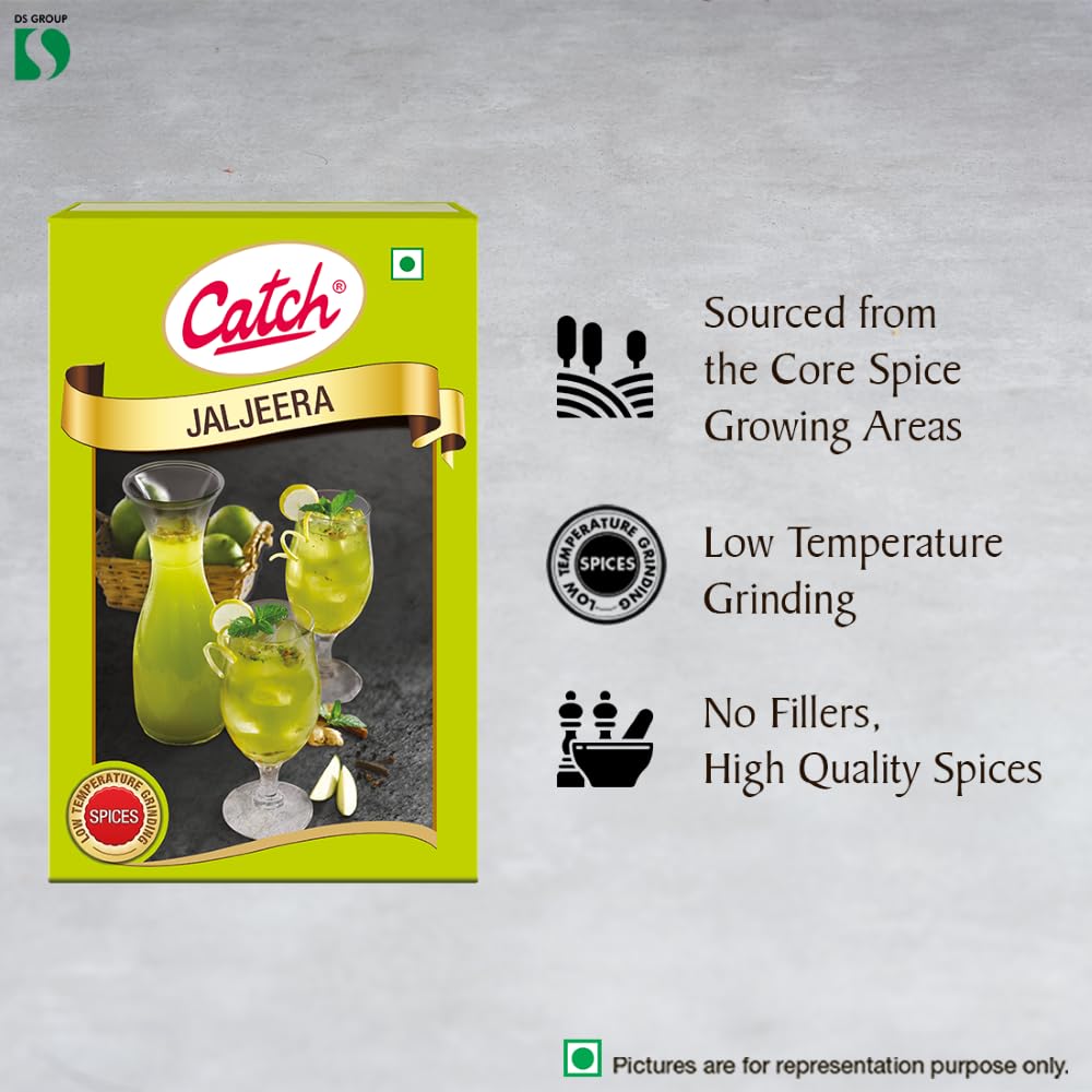 Catch Jal Jeera Masala, 100g