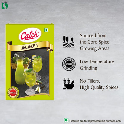 Catch Jal Jeera Masala, 100g