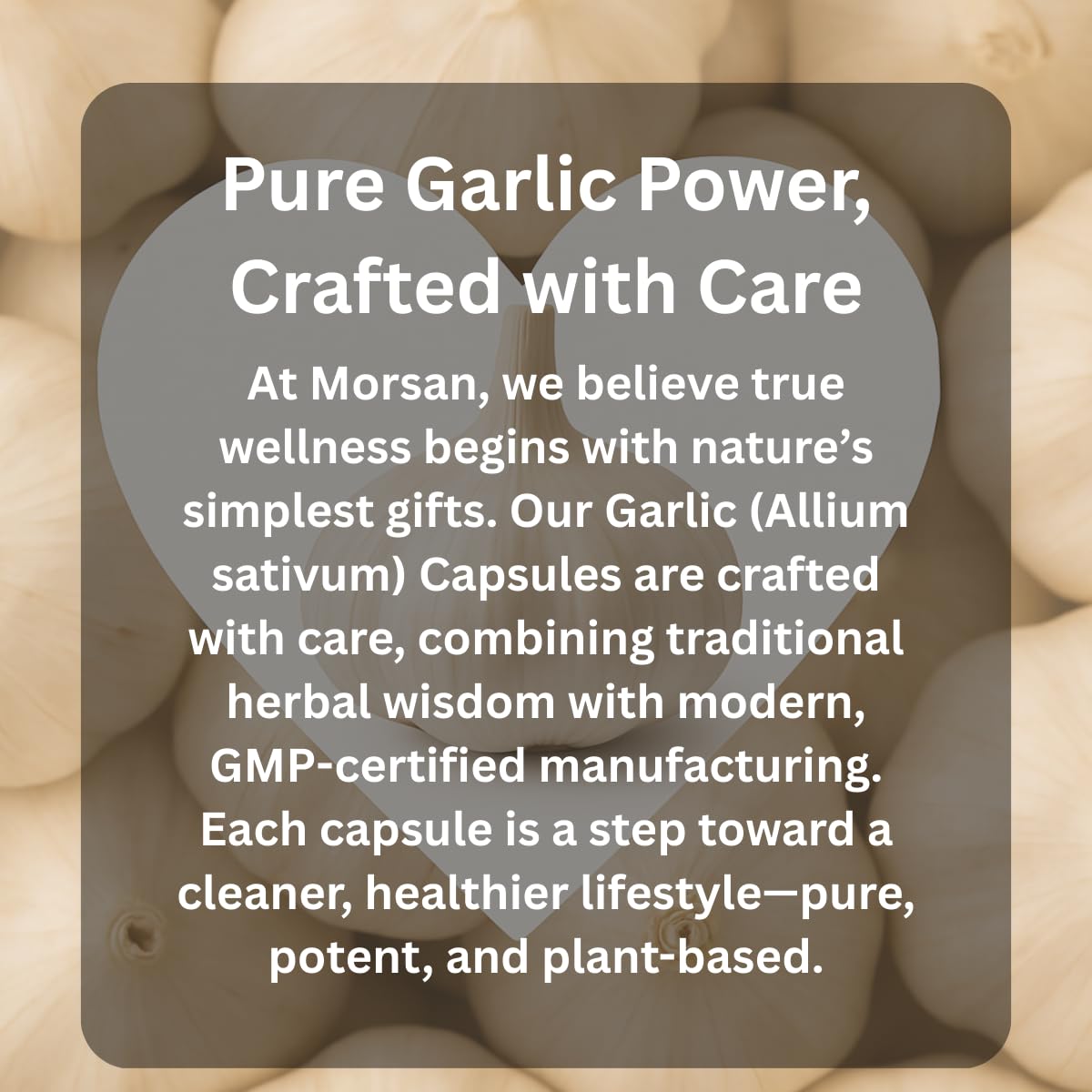 MORSAN HEALTHCARE Garlic Capsules 500mg – 60 Count | 2 Pack | Vegetarian | Organic | Gluten Free | Plant-Based | Herbal Supplement | No Artificial Additives