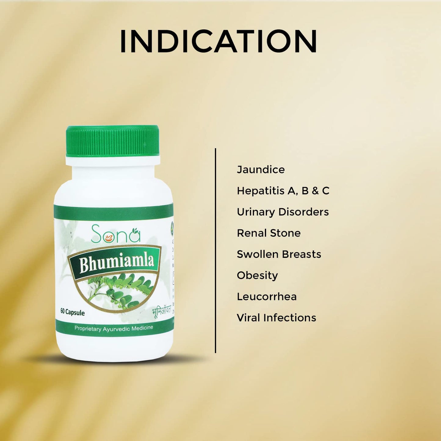 SONA HEALTH CARE Bhumi Amla, 60 Capsule(Pack of 2)