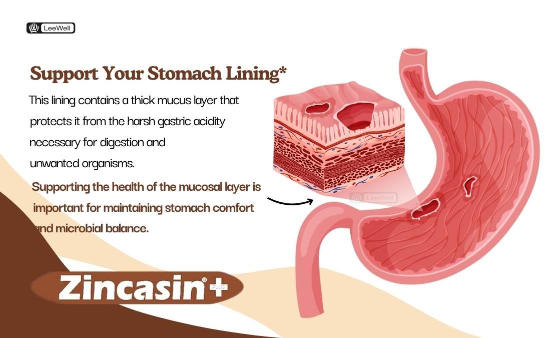 zincasin +plus Zinc L carnosine, Vitamin U, DGL Deglycyrrhizinated Lico- image 7