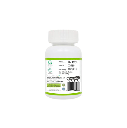 Zindagi Natural Moringa Capsules - Pure Moringa Extract Powder - Health Supplement For Energy (60 Capsules)