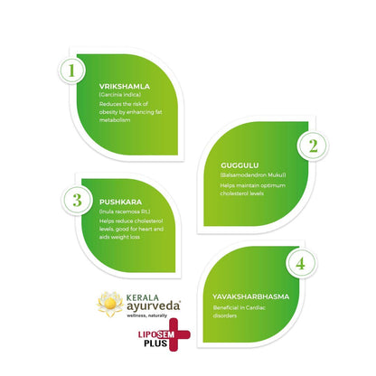 Kerala Ayurveda Liposem Plus Tablet - 100 Count- image 4