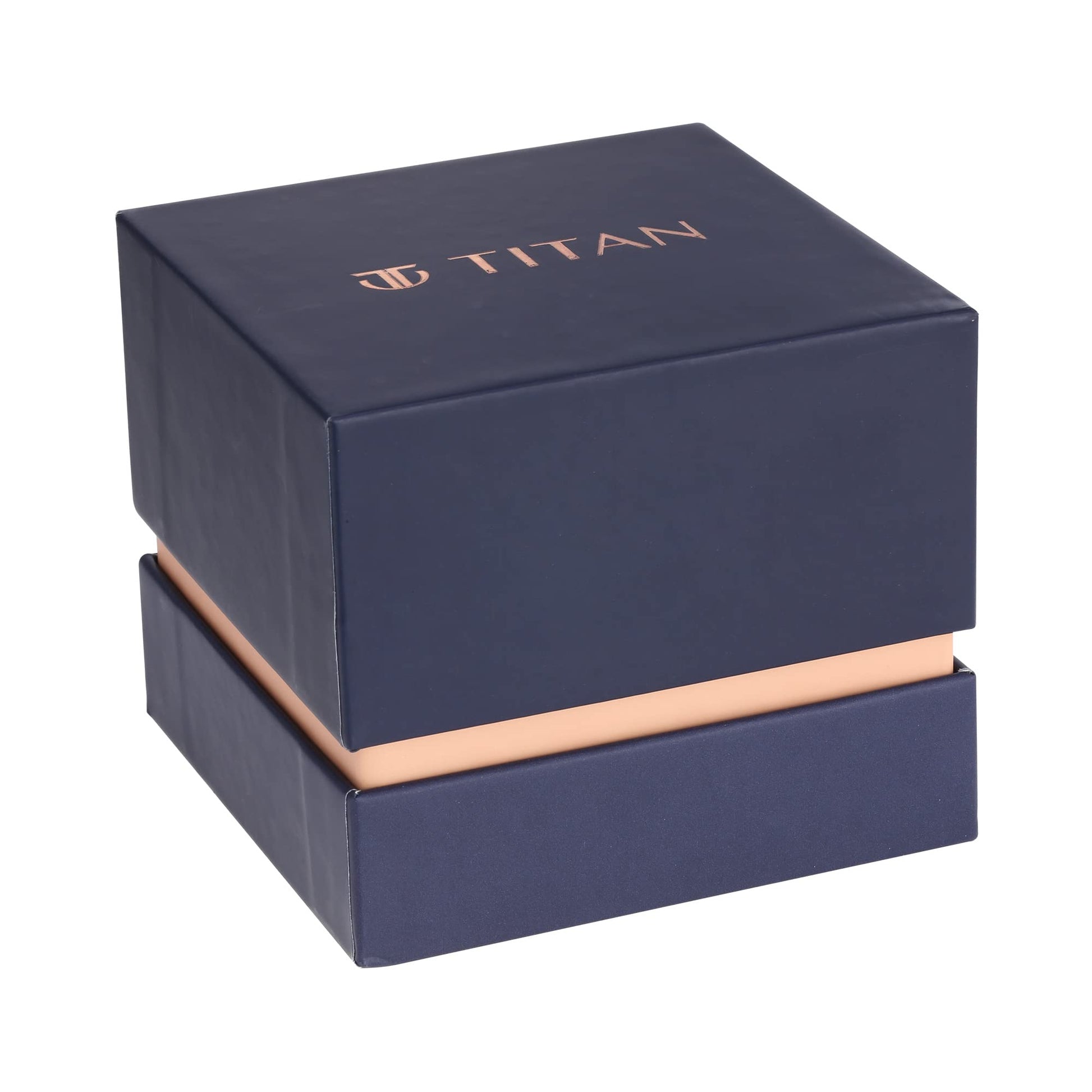 Titan Men Stainless Steel Purple: Valentine's Day Collection Analog Bro- image 2