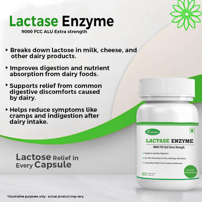 Biovencer Lactase Enzyme 60 Vegetarian Capsules-9000 FCC ALU | Supports Lactose Digestion | Dairy Relief Supplement | Fast-Acting, Non-GMO, Gluten-Free |