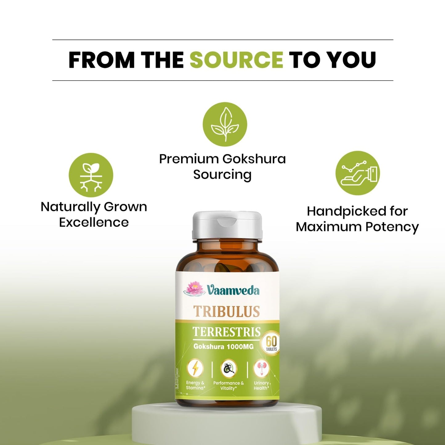 Gokhru Gokshura Tablets 1000MG| Gokshura Capsule | Tribulus Terristris Capsules – 60 Tablets (4)