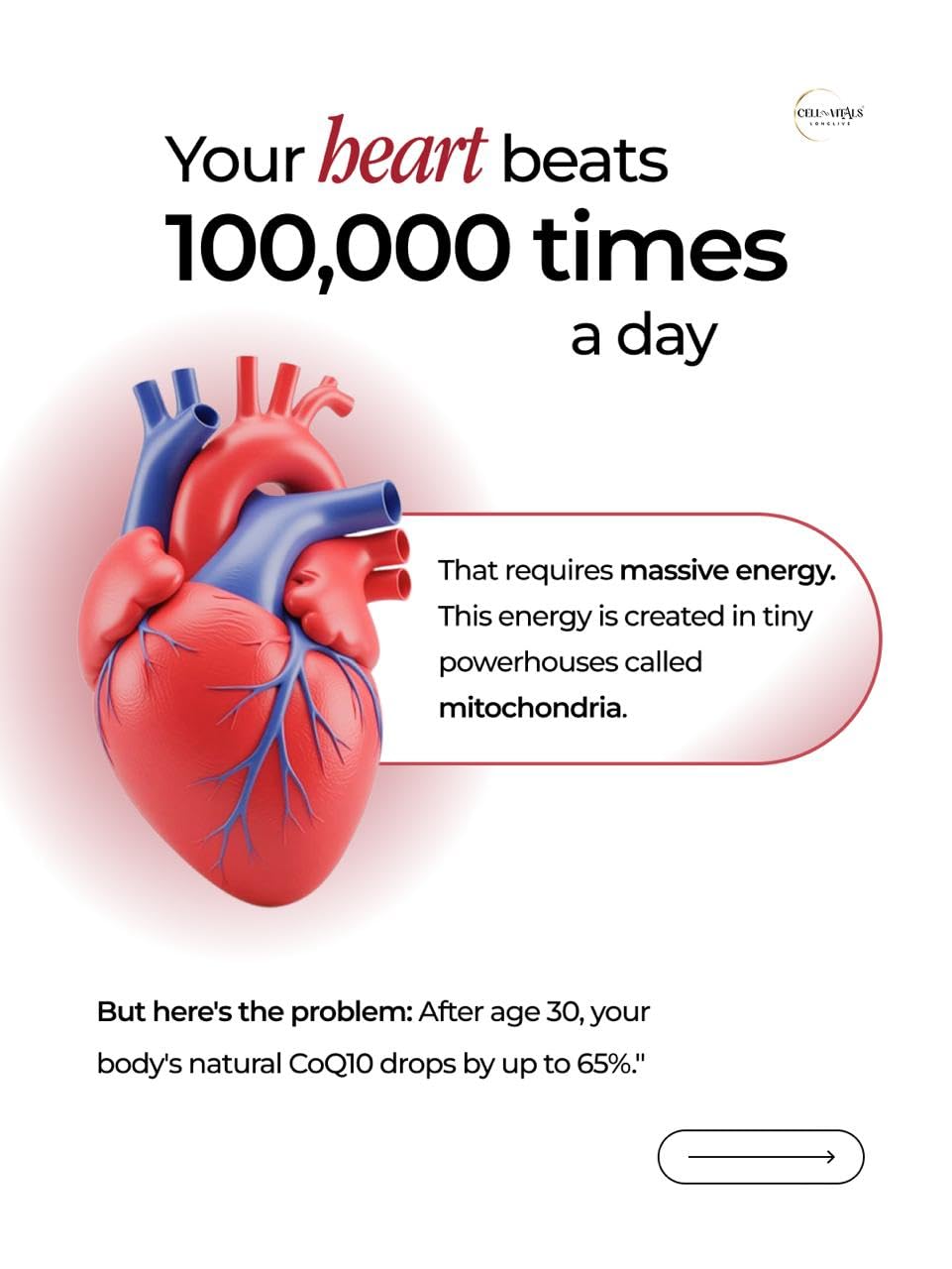 CELL-VITALS Coenzyme Q10 Cardiocare Max – Advanced Heart Health Supplement, 30 Veg Capsules | Supports Cardiovascular Wellness, Healthy Blood Pressure & Cholesterol
