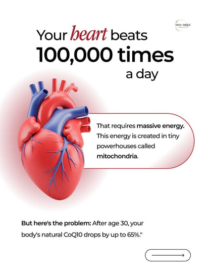 CELL-VITALS Coenzyme Q10 Cardiocare Max – Advanced Heart Health Supplement, 30 Veg Capsules | Supports Cardiovascular Wellness, Healthy Blood Pressure & Cholesterol