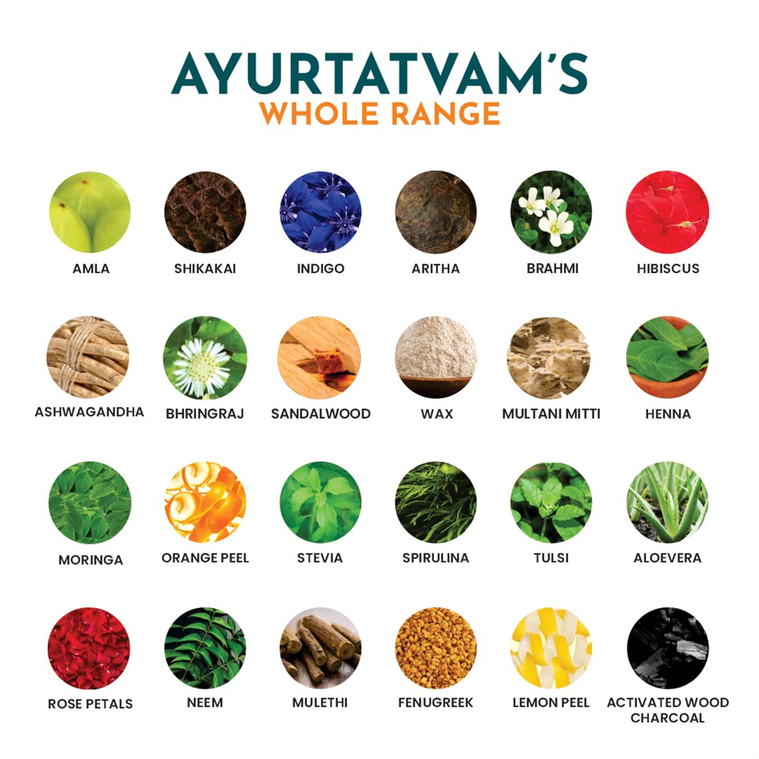 Ayurtatvam Natural Moringa Leaf Powder 100g- Supercharge Your Health with Nature's Green Miracle" - Helps in Weight Control | Anti-Oxidant, Immunity Boost & Energy