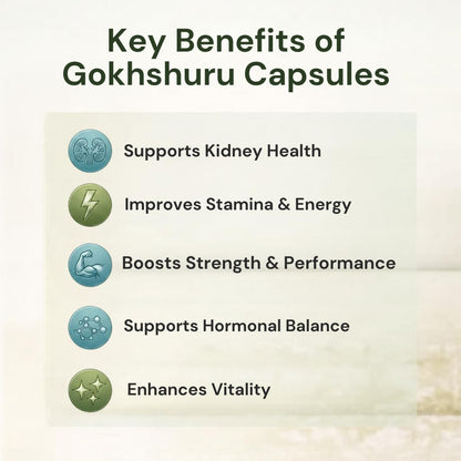 Ayurcaps Gokhshuru Capsules (Tribulus Terrestris) | Ayurvedic Supplement For Men, Women | Supports Energy, Stamina & Active Daily Routine | Plant-based Veg Capsules For Wellness Support | 60 Capsules