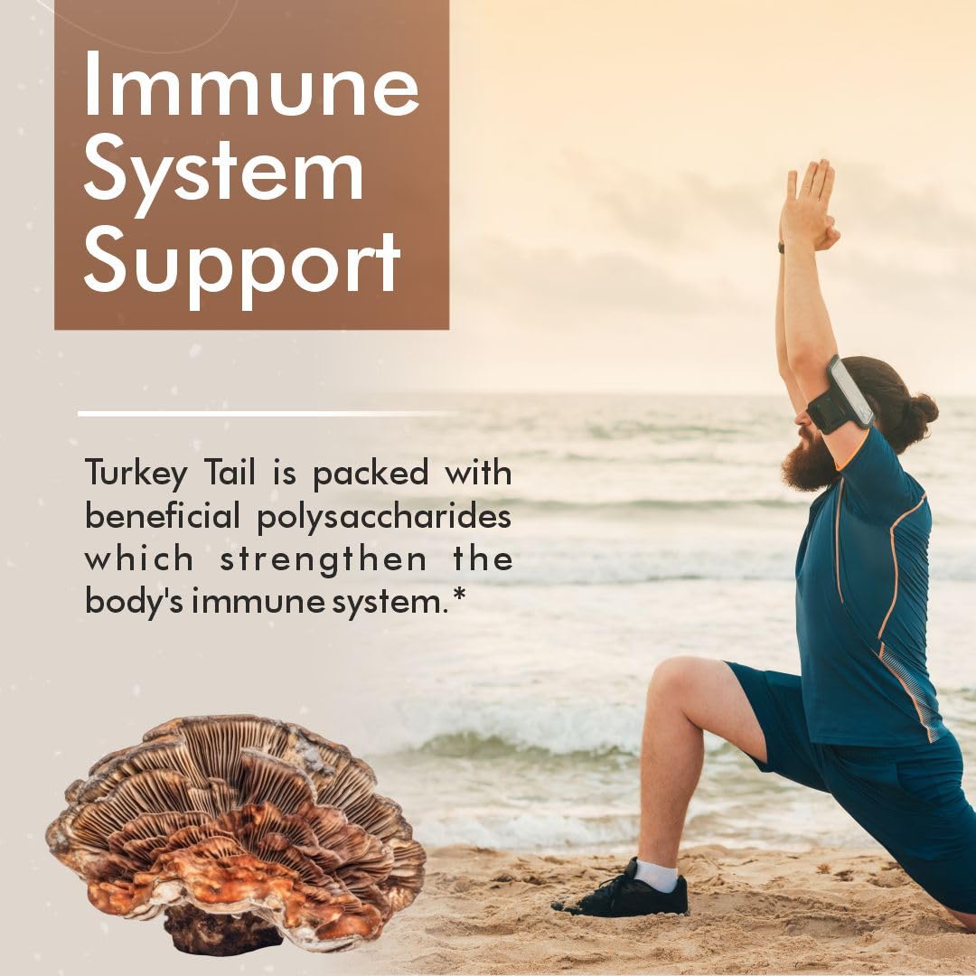 Vitaminnica Turkey Tail Mushroom Supplement 500mg- 60 High Strength Vegan Capsules | Nootropics for Gut Health