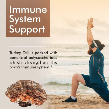 Vitaminnica Turkey Tail Mushroom Supplement 500mg- 60 High Strength Vegan Capsules | Nootropics for Gut Health