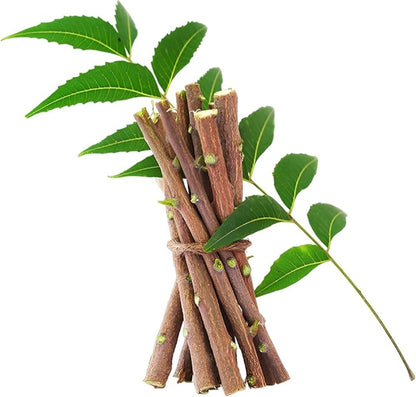 Haryans health care, Neem stick for teeth brush (pack of 20) pure ayurvedic natural and organic