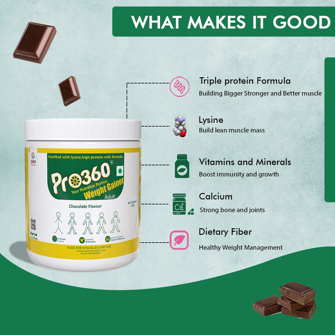 Pro360 WeightGainer Pro for Women & Men 500g | Calorie Rich Supplement with Triple Protein Source & 25 Nutrients for Healthy Weight Gain | Muscle Gainer Protein Powder | Chocolate Flavour