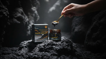 Himanshi Health Care Pure Himalayan Shilajit Resin by Premium Pamir – 20g