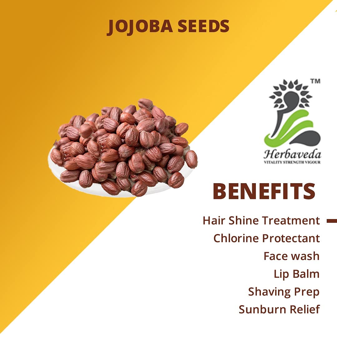 Herbaveda- Jojoba Seeds 500g For planting | Good for Skin & Hair