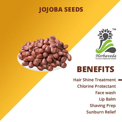 Herbaveda- Jojoba Seeds 500g For planting | Good for Skin & Hair