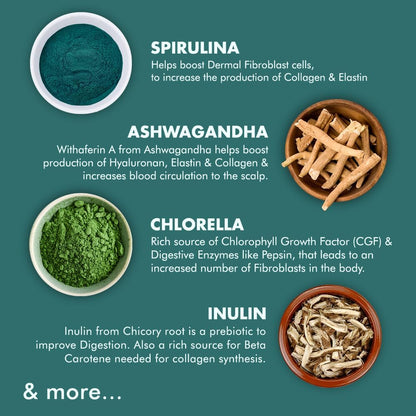 Caim by arelang | Natural Collagen Gummies for women/men |Replenish wit- image 8