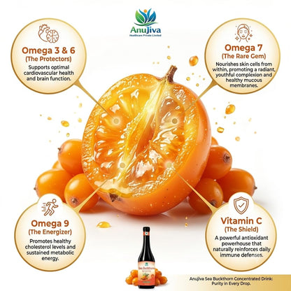 Anujiva Sea Buckthorn Concentrated Premium Drink | Rich in Omega 3, 6, 7 & 9 and Vitamin C | Immune Support, Skin Health & Daily Vitality Tonic | No Added Sugar, 100% Natural