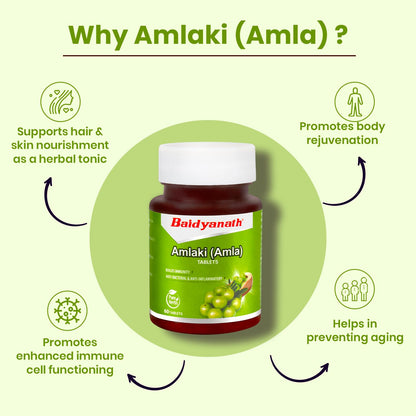 Baidyanath Amlaki (Amla) 60 Tablets - Natural Health Booster for Enhanc- image 6