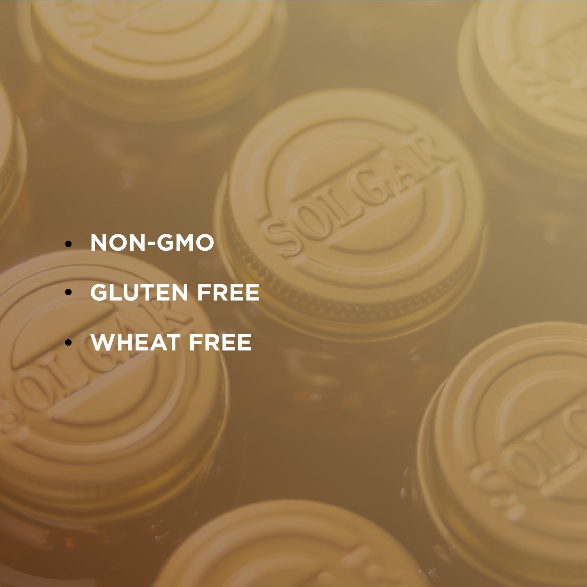 Solgar, Milk Thistle, 250 Vegetable Capsules- image 2