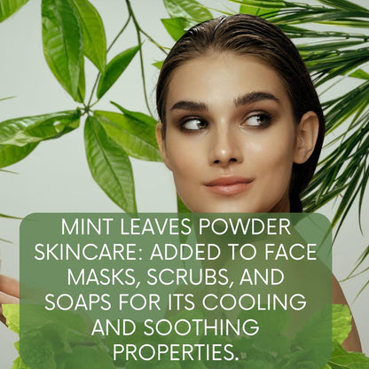 mGnna Mint Leaf Powder for Smooth Glowing Skin, Hair Care, Cosmetic Formulation and Health Care 227gm / 0.5lbs