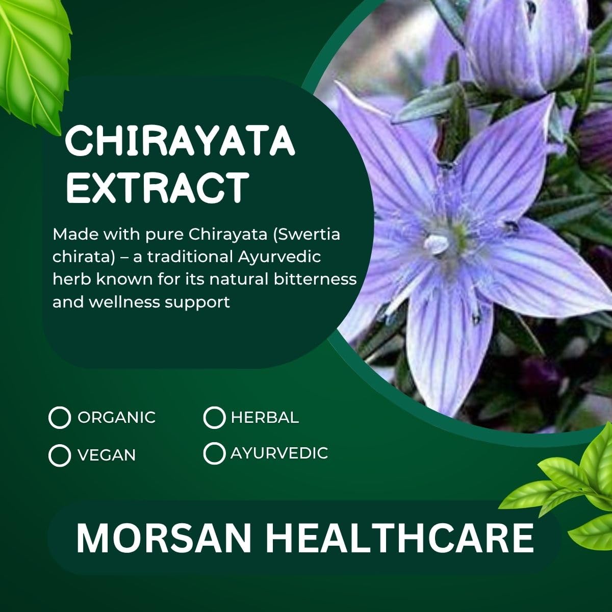 MORSAN HEALTHCARE Chirata herb capsules 500 mg – 60 Veg Capsules | Swertia Chirata Extract | Plant-Based Herbal Supplement | Vegan & Gluten-Free (PACK OF 1)
