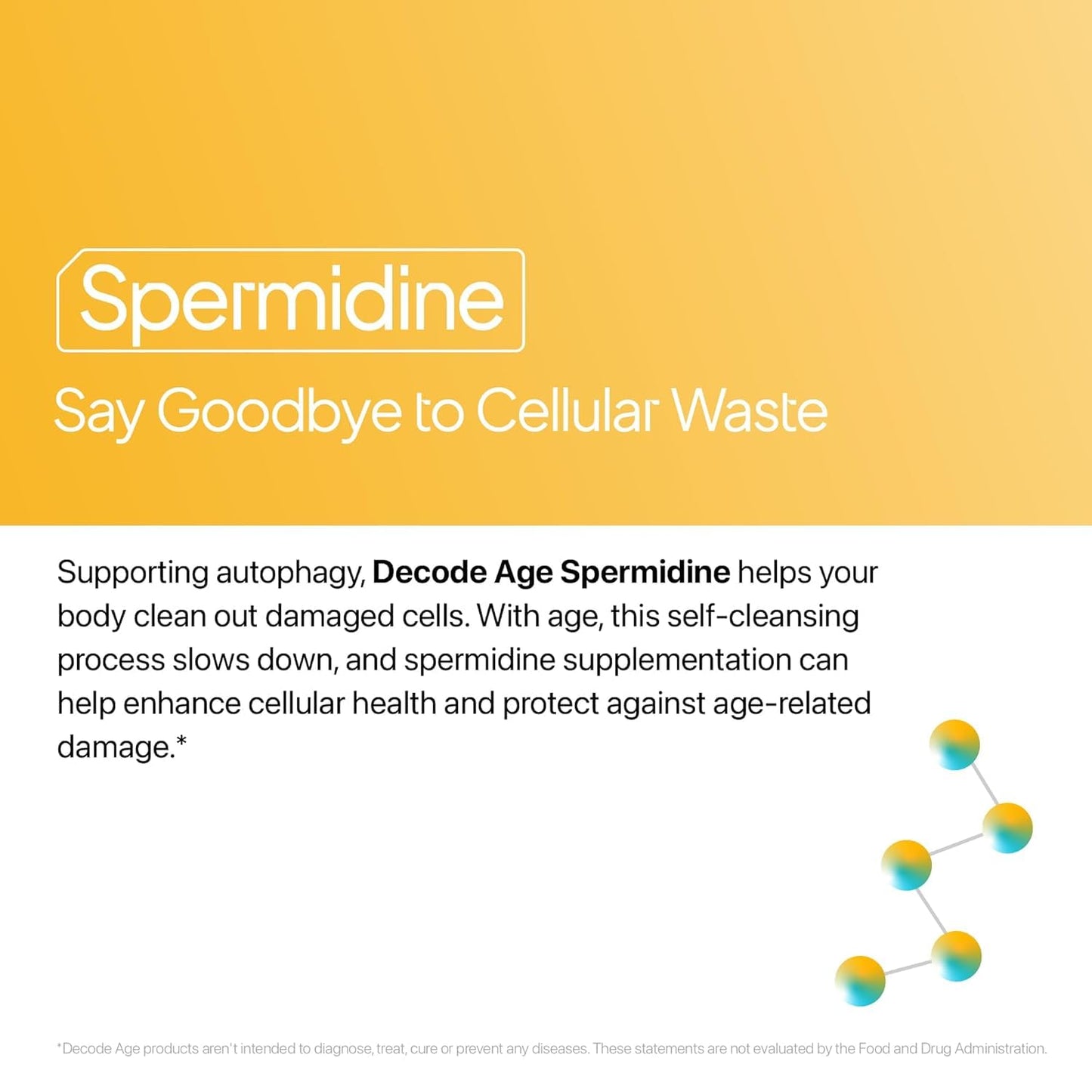 Decode Age Spermidine Trihydrochloride Supplement – Bottle of 60 Veg Capsules