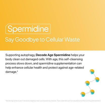 Decode Age Spermidine Trihydrochloride Supplement – Bottle of 60 Veg Capsules