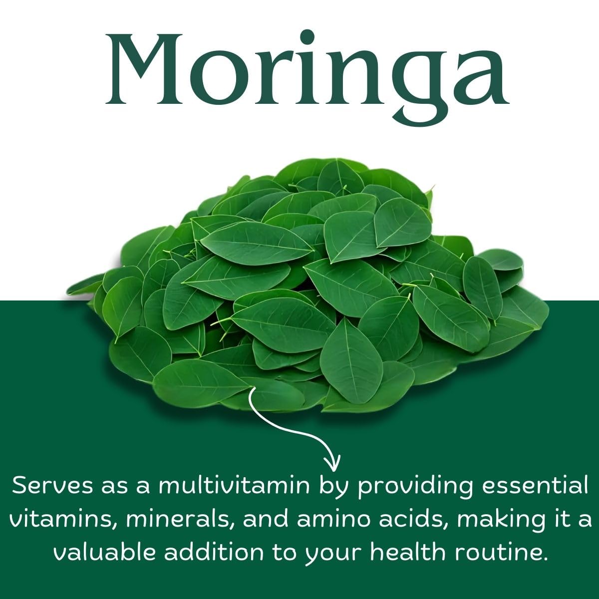 Riddhish Herbals Moringa Granules 250g - Pure Moringa Oleifera Shigru Drumstick Leaf - Easy Mixing Natural Flavour Daily Nutrition Drink - Rich in Vitamins Minerals & Amino Acids - FSSAI GMP Certified