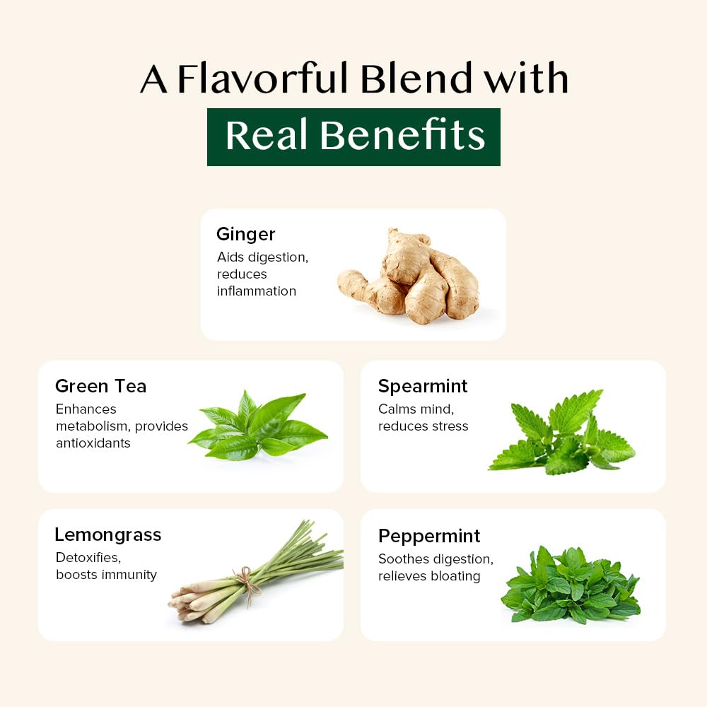 VAHDAM, Ginger Mint Green Tea Bags (50 Count) Med Caffeine, Non-GMO, Gluten-Free, Naturally High Grown Green Tea | Whole Loose Leaf Tea Bags | Resealable Ziplock Pouch