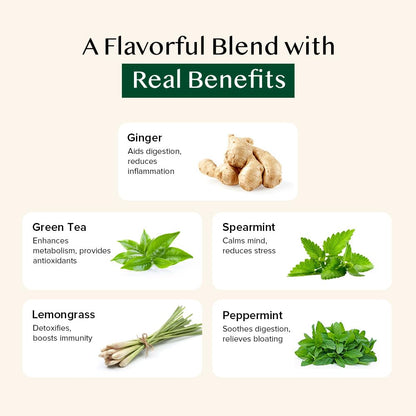 VAHDAM, Ginger Mint Green Tea Bags (50 Count) Med Caffeine, Non-GMO, Gluten-Free, Naturally High Grown Green Tea | Whole Loose Leaf Tea Bags | Resealable Ziplock Pouch