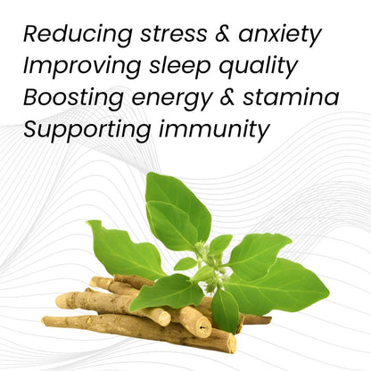 Raskam Ashwagandha 500 mg Capsules, 100 Veg. Capsules, Rejuvenates Body & Brain, Increases Energy, Strengthens Immune System, Reduces Stress & Anxiety