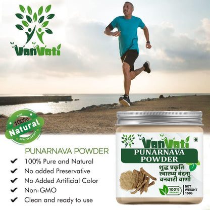 VANVATI Pure Punarnava Powder Herbal Powder For Kidney Health Care And Wellness 100gm