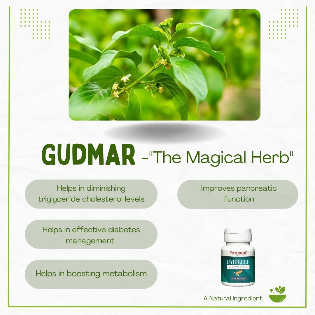 Dybireef capsules | ayurvedic medicine for sugar control | insulin resistance | Helps to reverse diabetes naturally