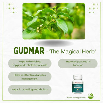 Dybireef capsules | ayurvedic medicine for sugar control | insulin resistance | Helps to reverse diabetes naturally