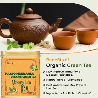 Tifusion Tulsi Ginger Amla Organic Green Tea For Cough Cold Sore Throat Digestion Darjeeling Herbal Organic Whole Leaf Chai Immunity Booster Tea (30 Tea Bag, 30 Serving Cups)