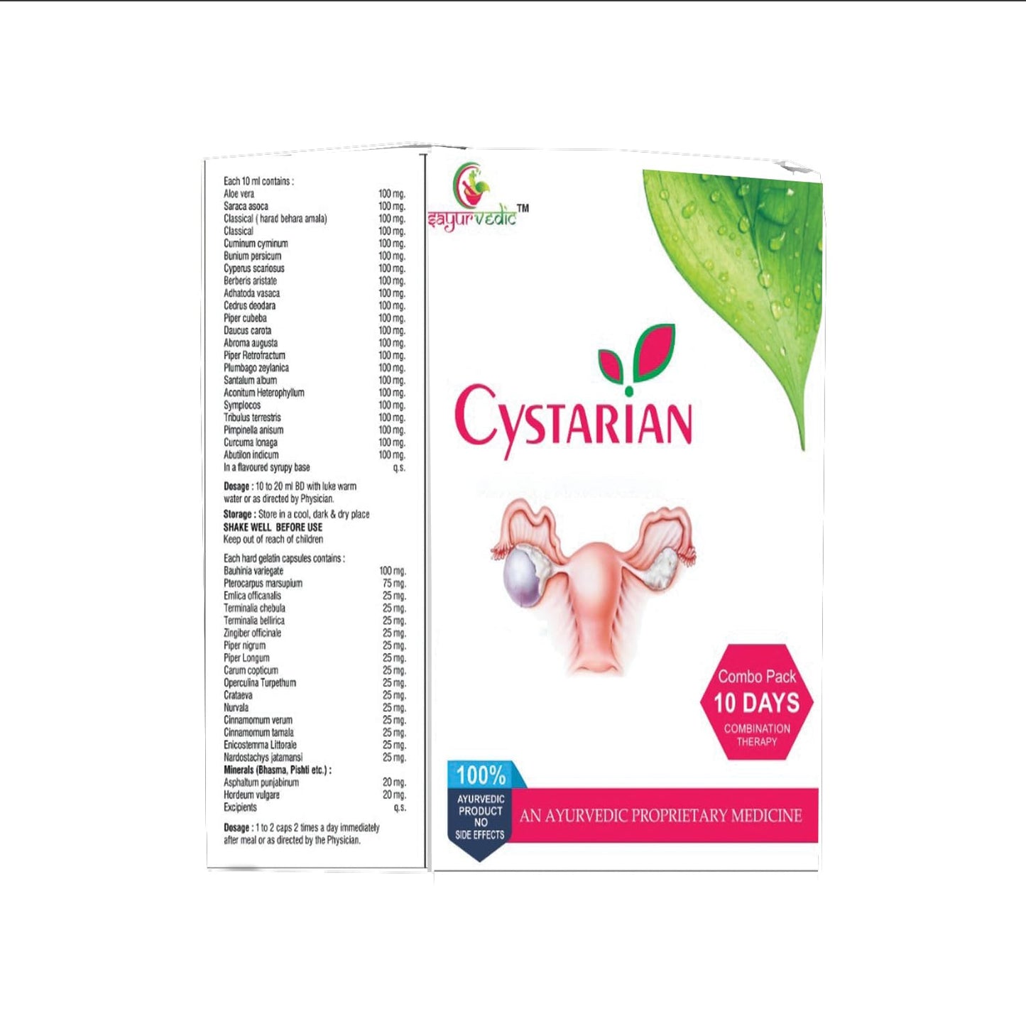 Sayurvedic Cystarian PCOS and PCOD Supplement for Women, 60 Vegetarian Tablets