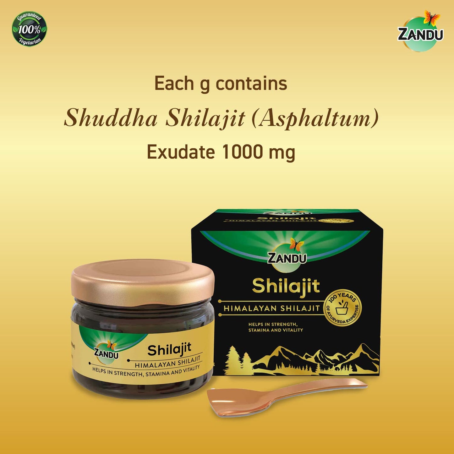 Zandu Pure Himalayan Shilajit Resin, 20 Grams (Pack of 1) | Natural & Ayurvedic| Helps Enhance Strength & Stamina | Maintains Overall Holistic Wellness, 40 Servings