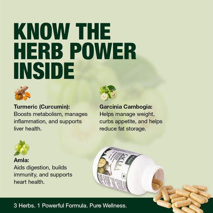 Vedique Gacula Weight Management Capsules | Garcinia Cambogia, Curcumin & Amla Extract | Metabolic Support & Fat Metabolism Formula | Natural Antioxidant Herbal Supplement | 60 Veg Capsules